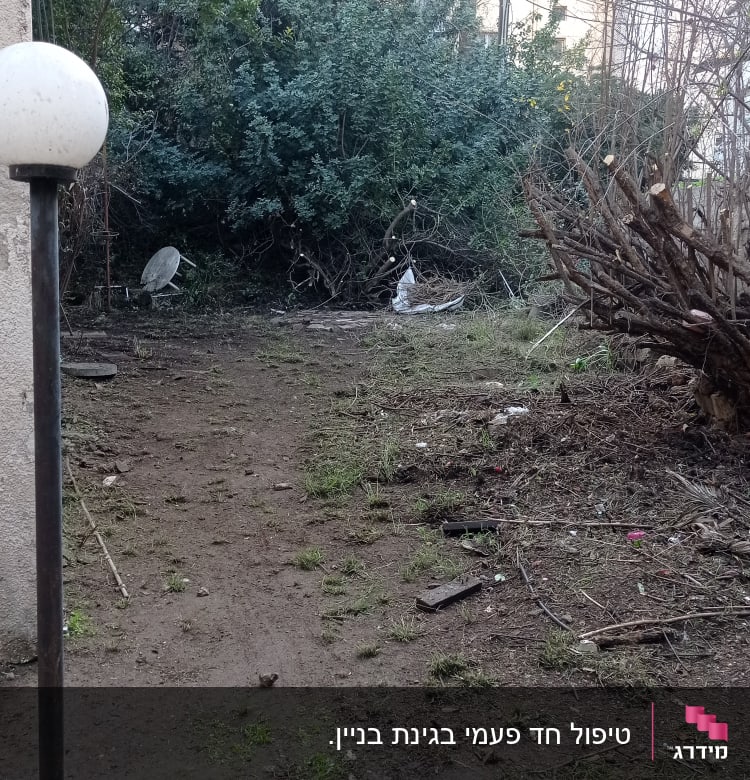 חצר עם עצים ושיחים, אדמה חשופה וענפים גזומים